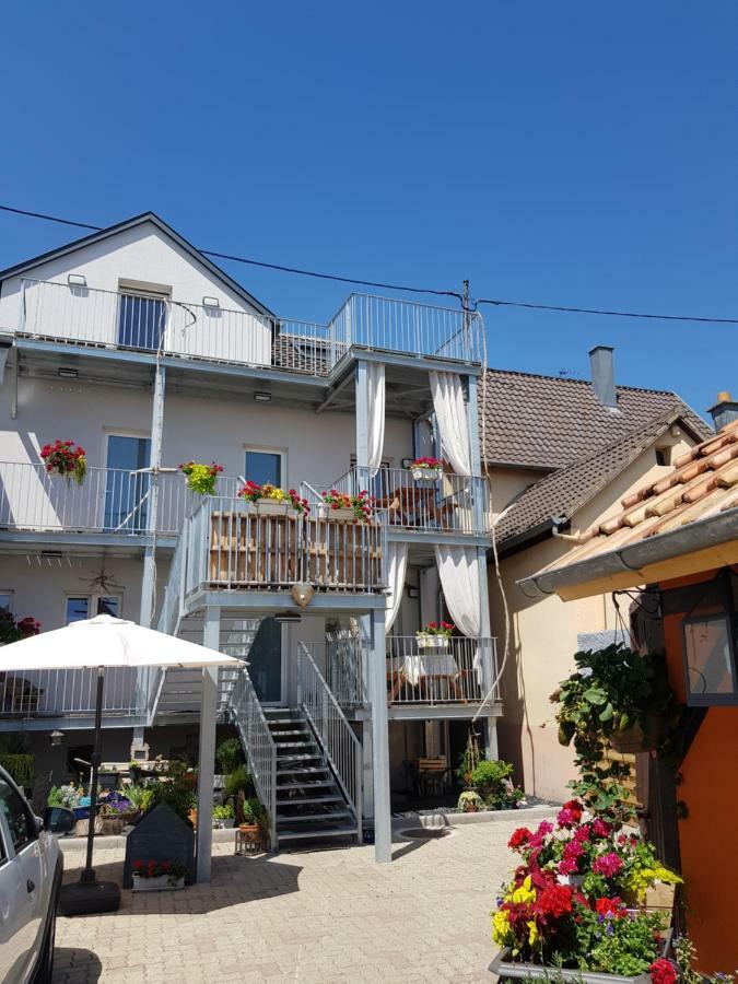 Au Gre De L'Ill 'Les Cigognes' Apartment Horbourg Exterior photo